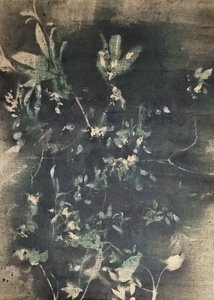 Vintage Botanical Shadows