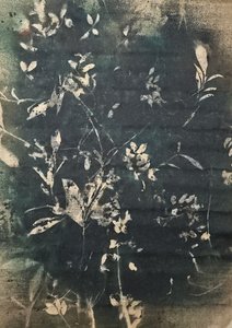 Vintage Botanical Silhouettes