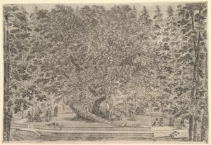 A Large Inhabited Tree in Center with Ramps Leading Around the Trunk by Stefano della Bella