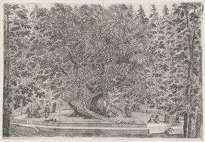 The Inhabited Tree in the Garden of Villa Pratolino by Stefano della Bella