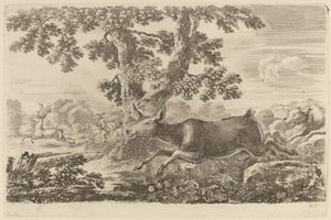 Deer Chased by a Dog to the Right