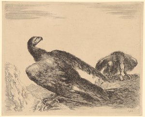 Eagle Spreading Wings and Eating, Plate 4 from the Series 
