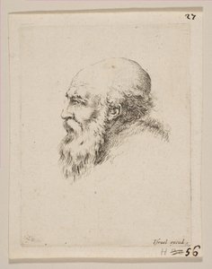 Head of a Bald and Bearded Old Man in Profile, from Various heads and figures Diverses, 1650 by Stefano della Bella