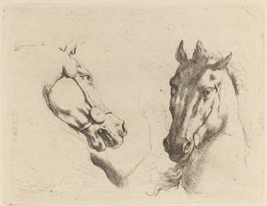 Head of a Horse Seen in Profile and in Three-Quarters by Stefano della Bella