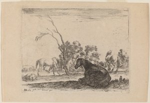 Horses in a Pasture