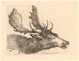 Head of a Fallow Deer, Plate 2 from the Series 