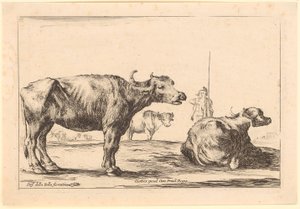 Cows, Plate 8 from the Series "Various Figures" by Stefano della Bella