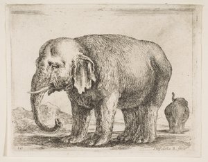 Plate 10: elephant, from Various animals Diversi animali, ca. 1641 by Stefano della Bella