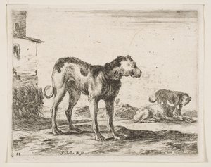 Plate 11: Dogs, from Various Animals, ca. 1641 by Stefano della Bella
