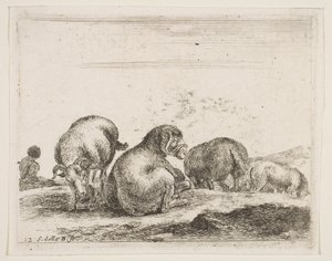 Plate 12: Sheep and Ram in a Pasture, from Various Animals, ca. 1641 by Stefano della Bella