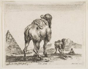 Plate 18: camel viewed from behind with pyramid at left, from Various animals by Stefano della Bella