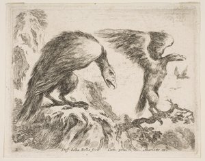 Plate 2: Eagle and Eaglet, from Various Animals by Stefano della Bella