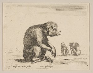 Plate 3: Seated Monkey, from Various Animals by Stefano della Bella