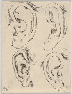 Plate 5: four ears, from The Book for Learning to Draw Livre pour apprendre à dessi, ca. 1649 by Stefano della Bella