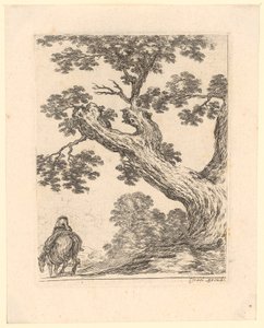 Rider from Behind Under a Large Tree by Stefano della Bella