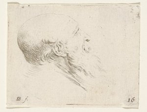 Head of a Bald Old Man by Stefano della Bella