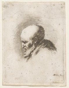 Head of a Bald and Bearded Old Man by Stefano della Bella
