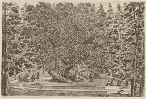 The Inhabited Tree by Stefano della Bella