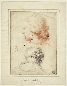 Two Studies: Female Head in Three-Quarter Profile; Female Bust Seen from the Back
