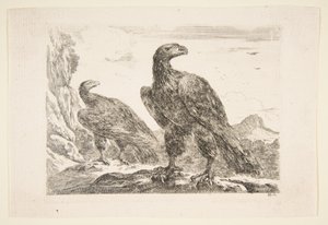 Two Eagles, from 