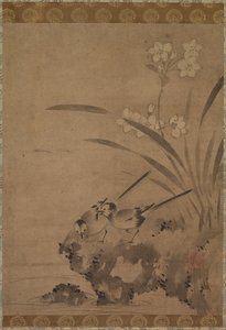 Wagtails and Narcissus