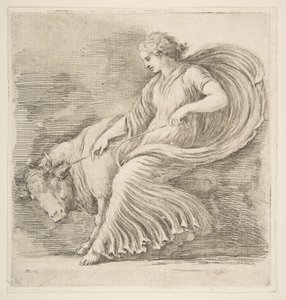 Young Woman Trying to Stop a Bull