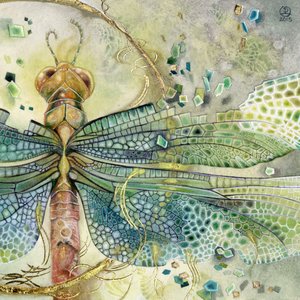 Jeweled Dragonfly Flight by Stephanie Law