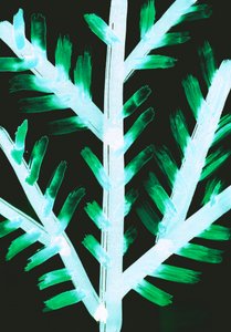 Winter II, 2017