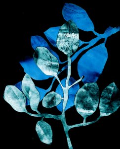 Nocturnal Garden