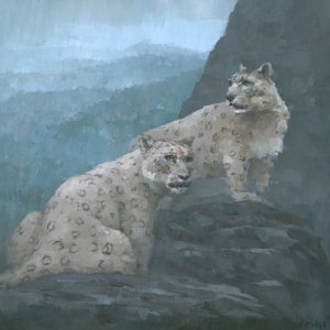 Misty Mountain Leopards
