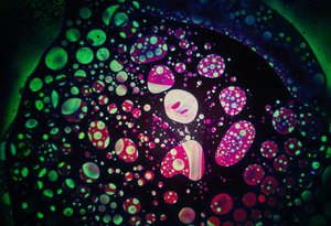 Dark Oils