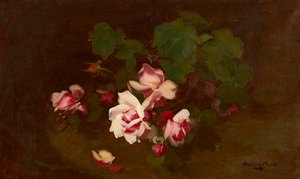 Roses in Bloom