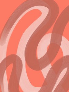 Abstract Coral Flow