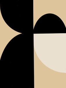 Abstract Geometric Curves