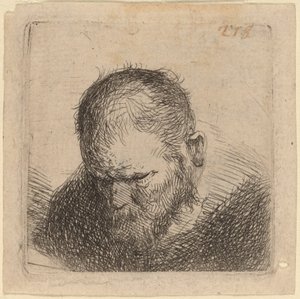 Bearded Man Looking Down by Studio of Rembrandt van Rijn