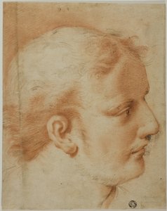 Head of Young Man, in Profile to Right