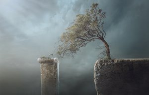 Windswept Tree Cliff