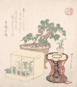 Potted Pine Tree, Drum and Seven Herbs Planted in a Box, 18th-19th century by Sunayama Gosei
