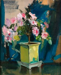 Camellia by Sunderland Rollison