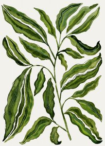 Organic Green Leaves