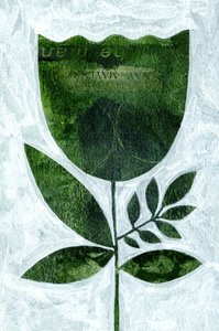 Textured Green Flower