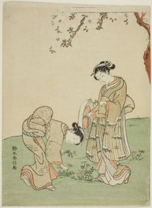Gathering Spring Flowers