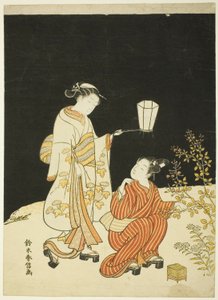 Searching for Fireflies