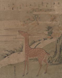 The Cry of the Stag