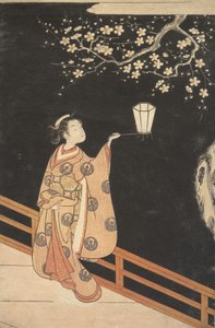 Woman Admiring Plum Blossoms at Night