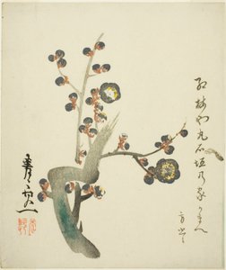 Blossoming Red Plum Branch