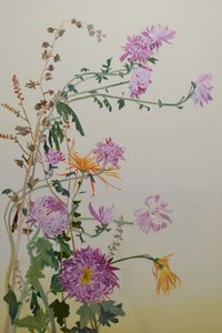 Chrysanthemums, 2022