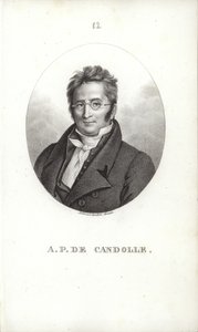 Augustin Pyramus de Candolle by Swiss School