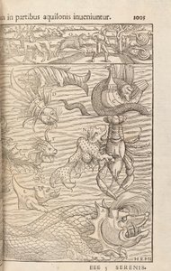 Page 1005 from Cosmographiae Universalis by Sebastian Muenster, Basel, 1572