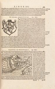 Page 983 from Cosmographiae Universalis by Sebastian Muenster, Basel, 1572 by Swiss School